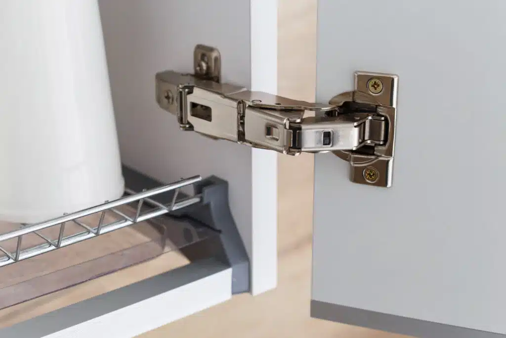Frameless Cabinet Hinge