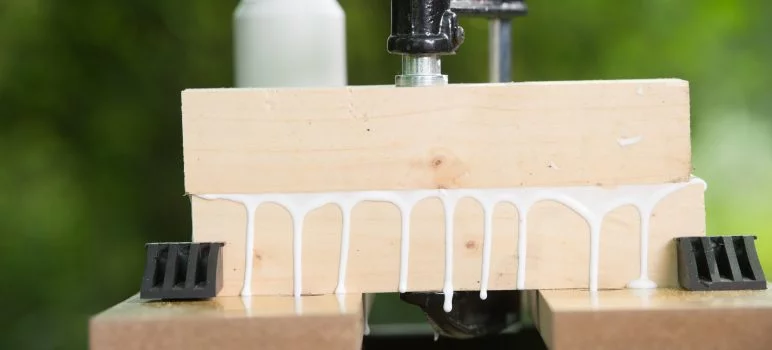 Laying clamp to join two wood glued Excess Wood Glue to be scraped