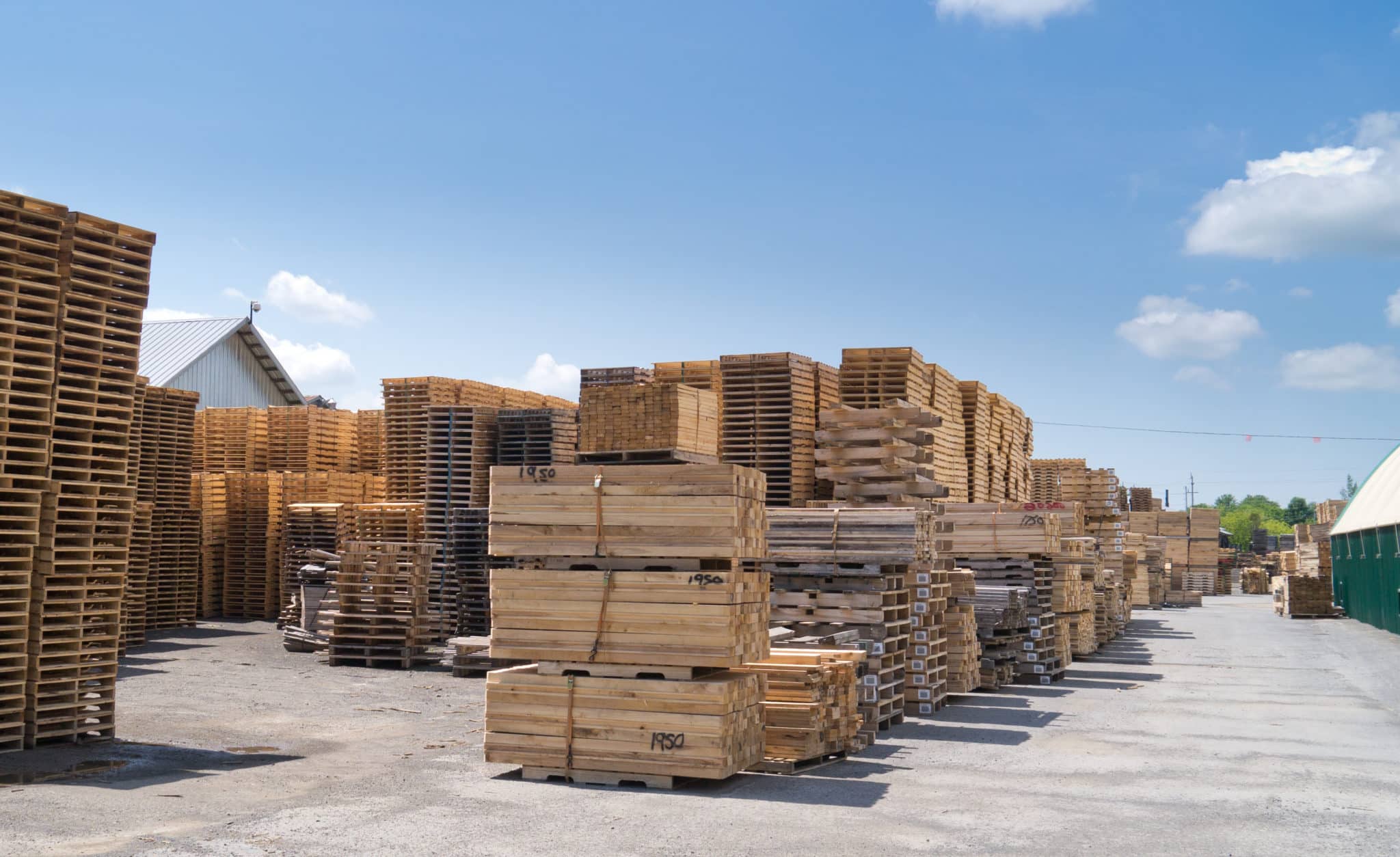 Lumber Shops Near Me