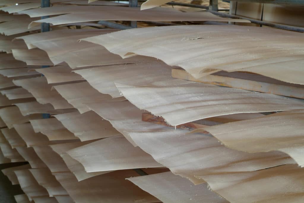Veneer drying for plywood construction