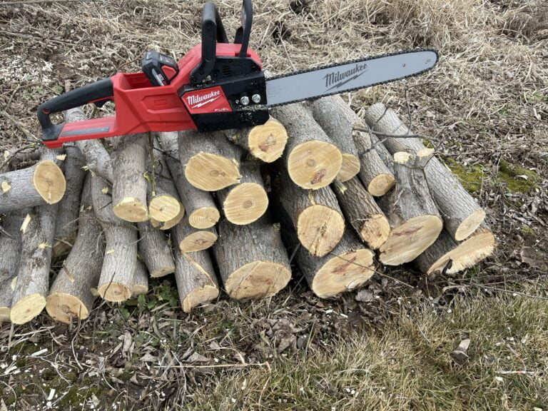 Best Cordless Chain Saws For Firewood