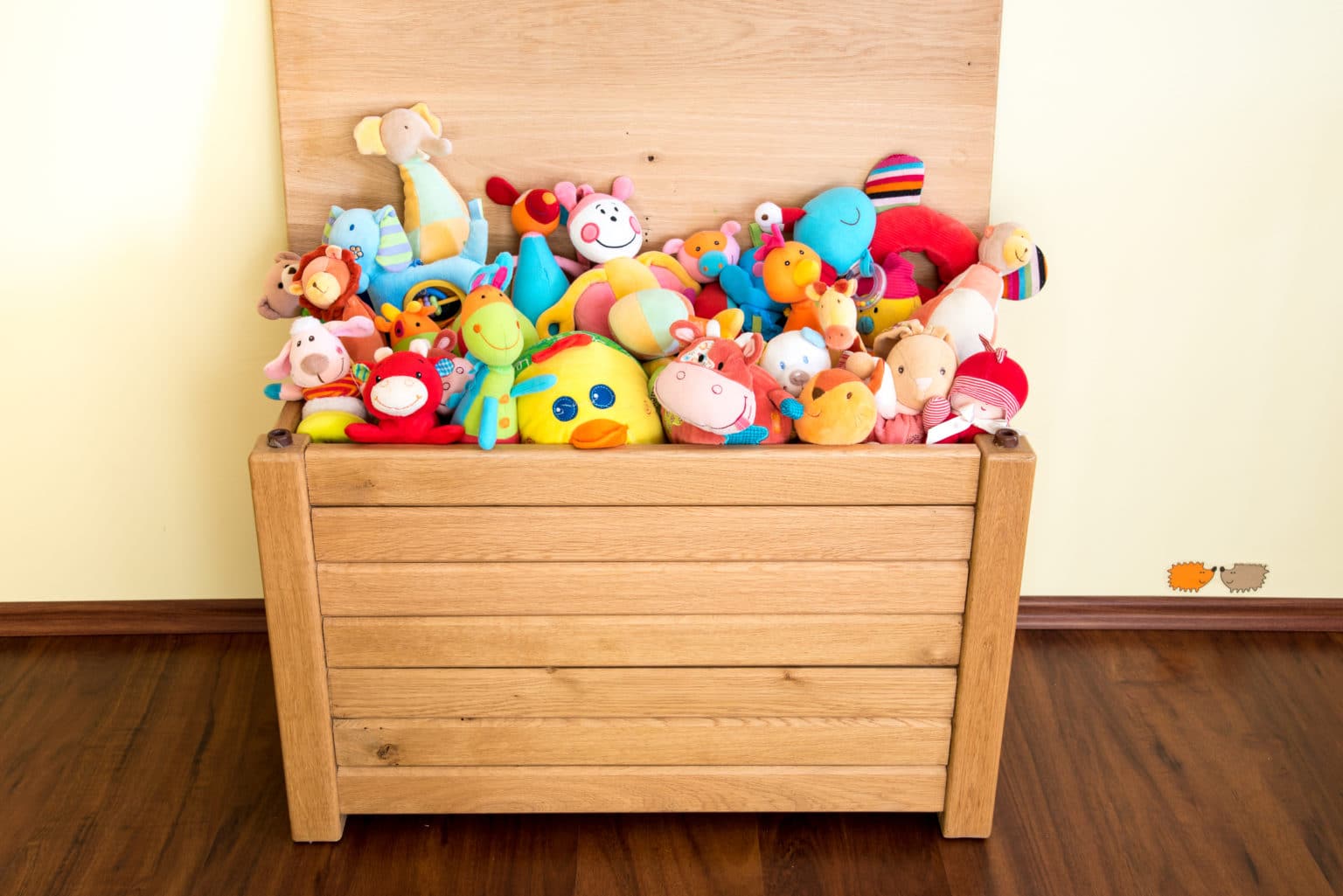 The Best Soft Close Hinges For Toy Box Lids (2024 Guide)